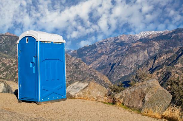 Best Sanitation services for porta potties  in Madison, IL